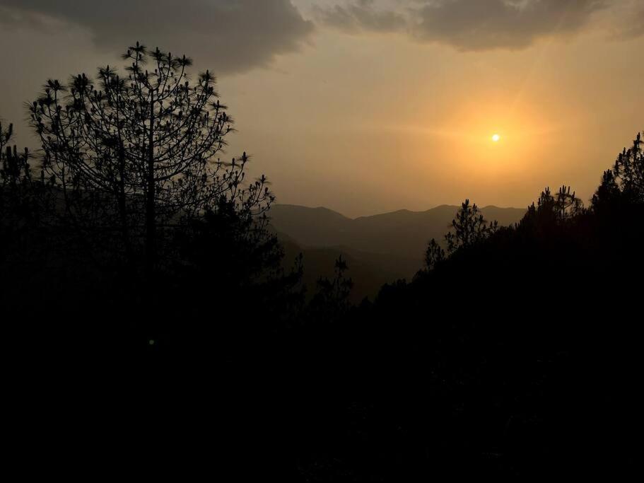 Residence Inn Homestay Shimla Exterior photo